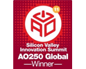 2011 AlwaysOn Global 250